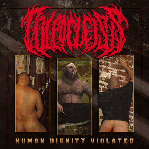 Colpocleisis : Human Dignity Violated